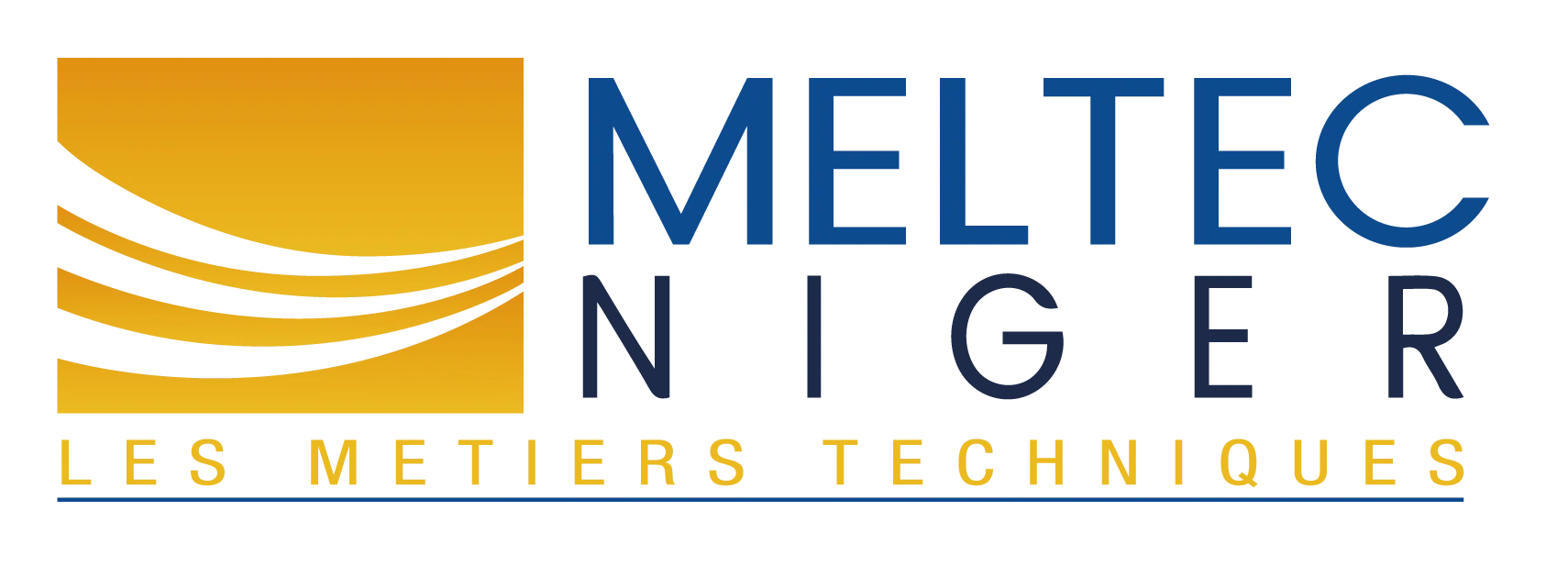LOGO MELTEC NIGER-02