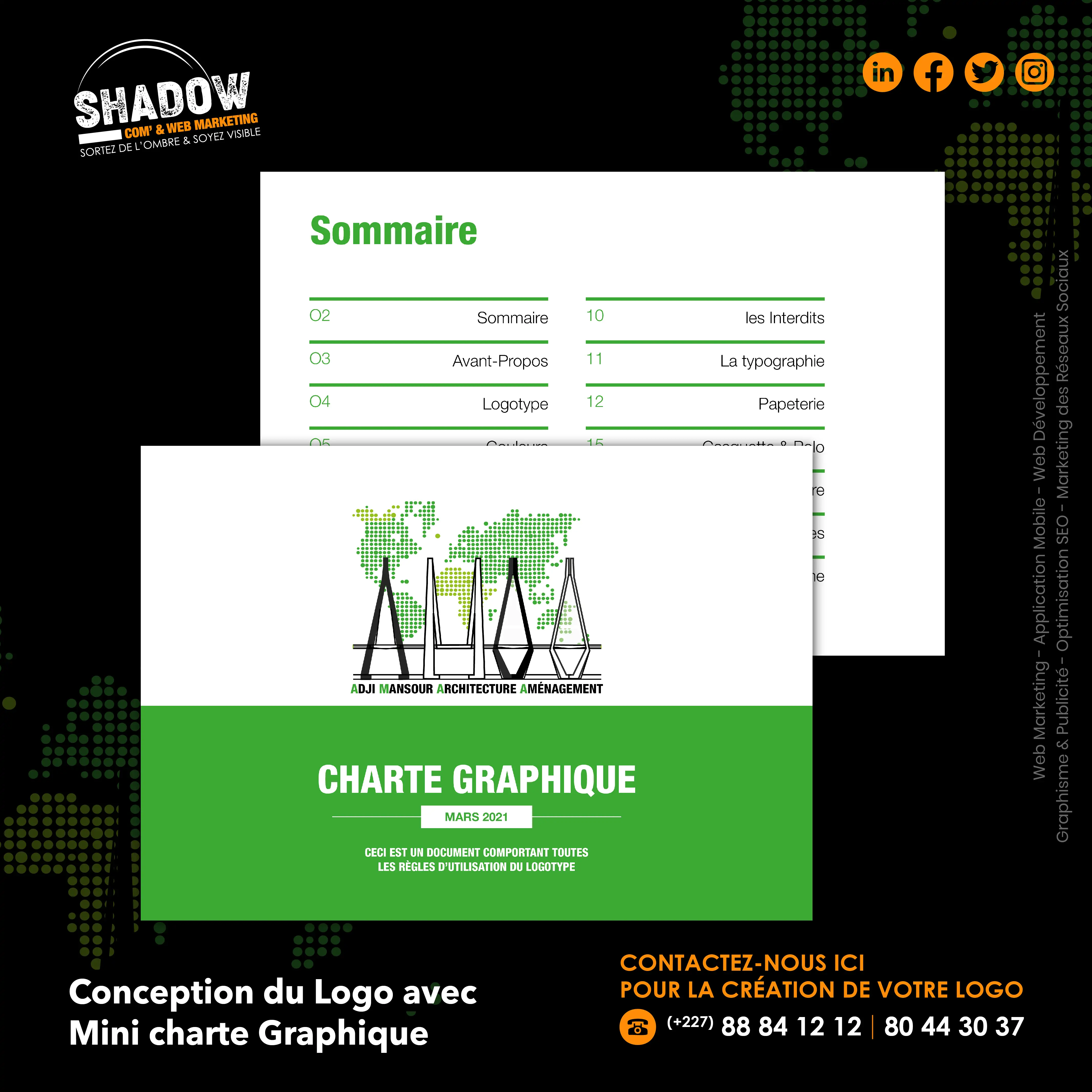 AMAA Plan de travail